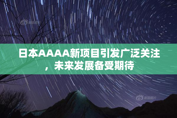 日本AAAA新项目引发广泛关注，未来发展备受期待