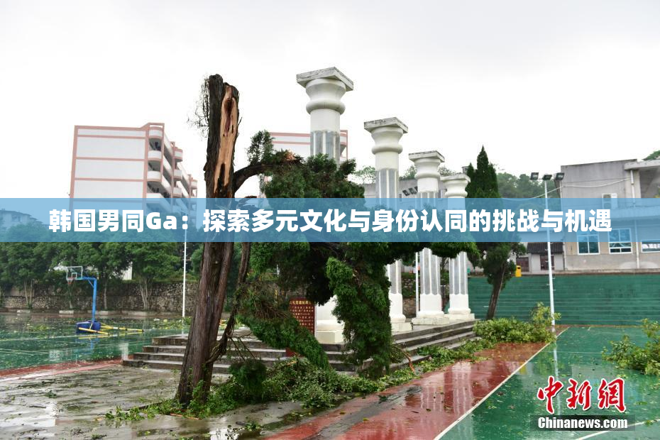 韩国男同Ga：探索多元文化与身份认同的挑战与机遇