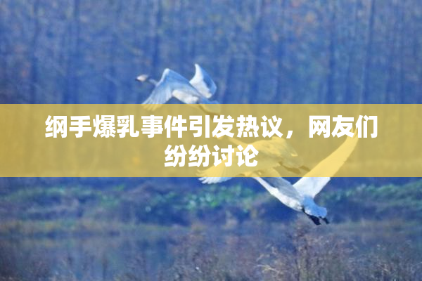 纲手爆乳事件引发热议，网友们纷纷讨论