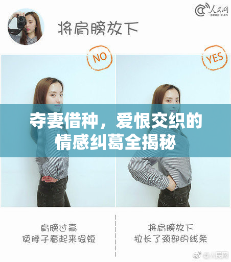 夺妻借种，爱恨交织的情感纠葛全揭秘