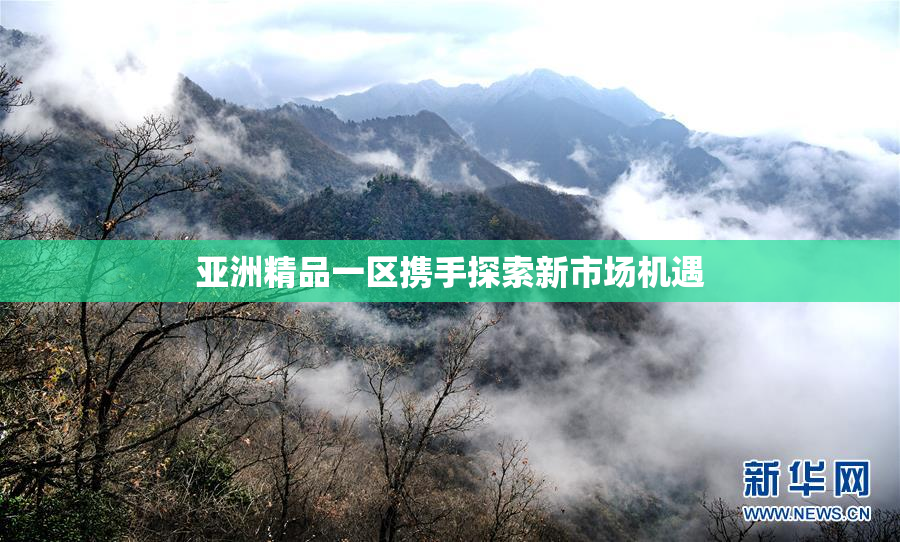 亚洲精品一区携手探索新市场机遇