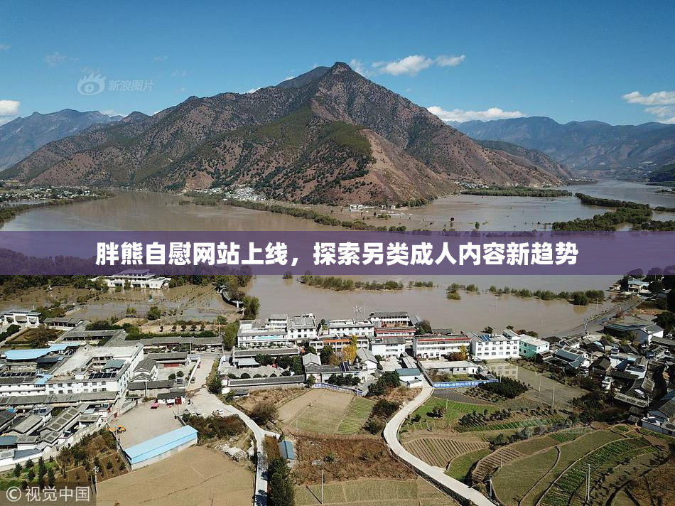 胖熊自慰网站上线，探索另类成人内容新趋势