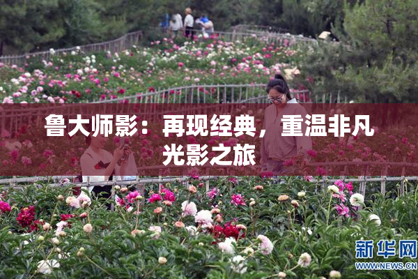 鲁大师影：再现经典，重温非凡光影之旅
