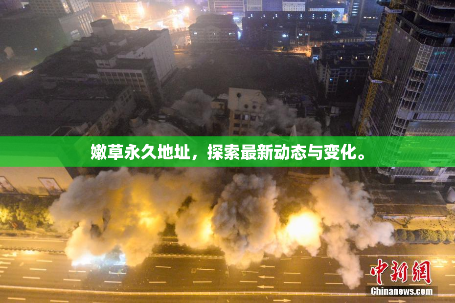 嫩草永久地址，探索最新动态与变化。