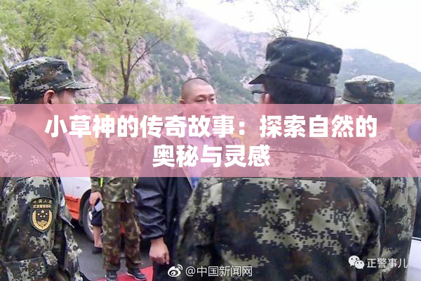 小草神的传奇故事：探索自然的奥秘与灵感