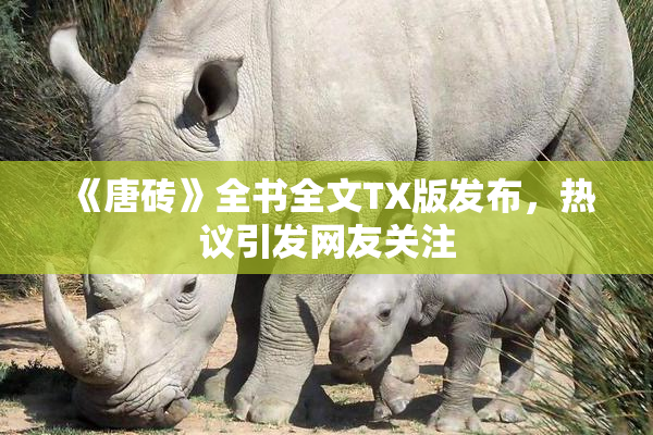 《唐砖》全书全文TX版发布，热议引发网友关注