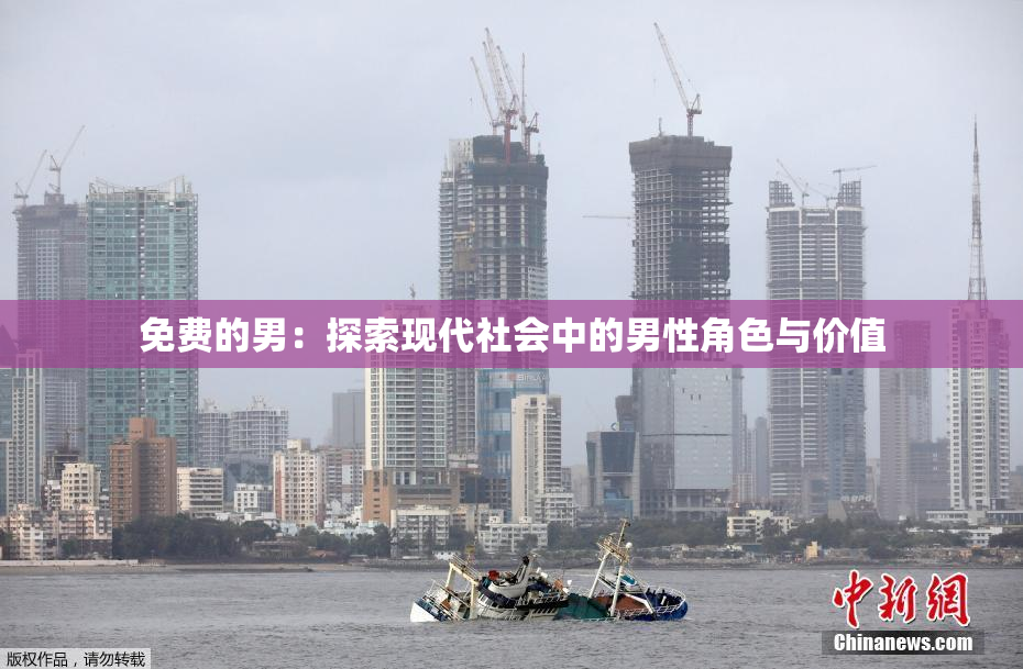免费的男：探索现代社会中的男性角色与价值