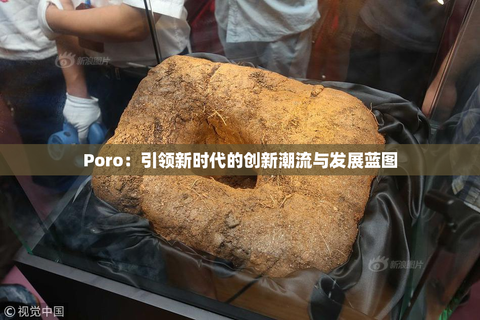 Poro：引领新时代的创新潮流与发展蓝图