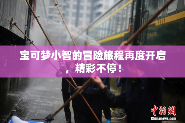 宝可梦小智的冒险旅程再度开启，精彩不停！