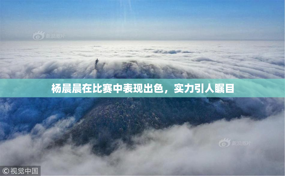 杨晨晨在比赛中表现出色，实力引人瞩目
