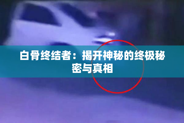 白骨终结者：揭开神秘的终极秘密与真相