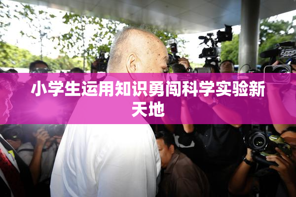 小学生运用知识勇闯科学实验新天地