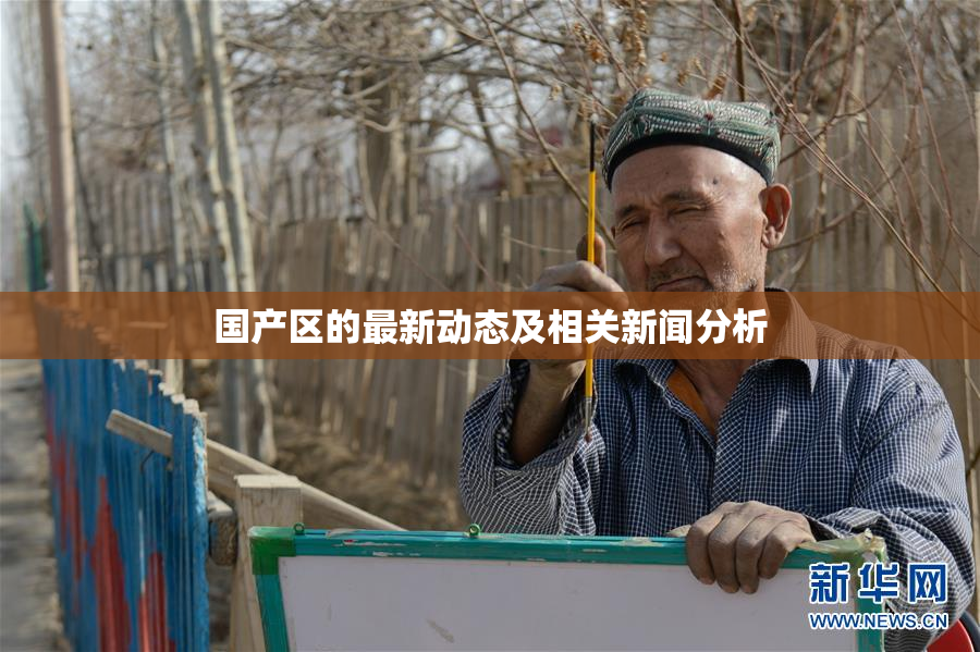 国产区的最新动态及相关新闻分析
