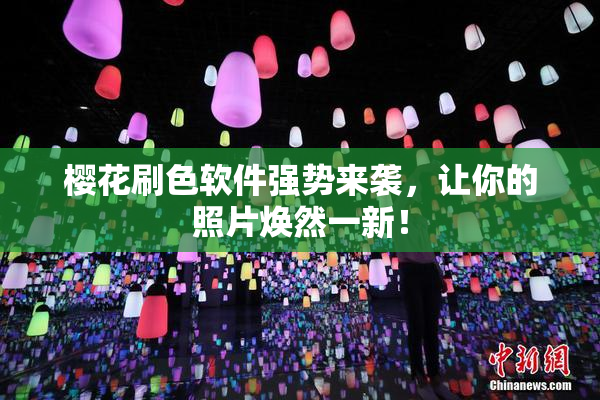 樱花刷色软件强势来袭，让你的照片焕然一新！