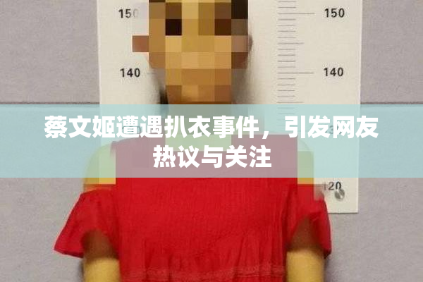 蔡文姬遭遇扒衣事件，引发网友热议与关注