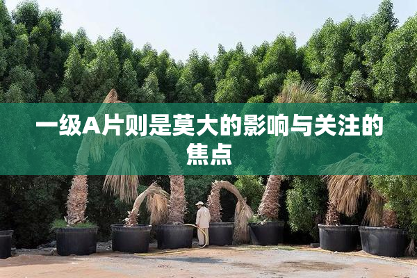 一级A片则是莫大的影响与关注的焦点