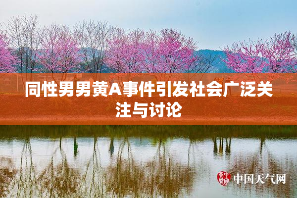 同性男男黄A事件引发社会广泛关注与讨论