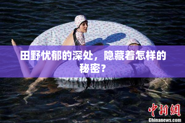 田野忧郁的深处，隐藏着怎样的秘密？