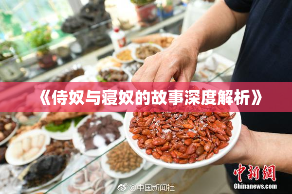 《侍奴与寝奴的故事深度解析》
