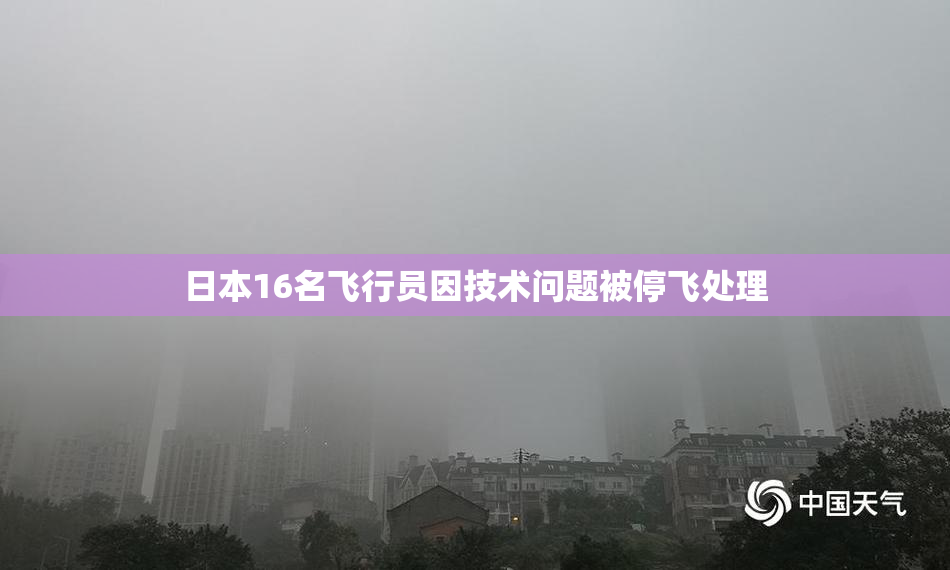 日本16名飞行员因技术问题被停飞处理