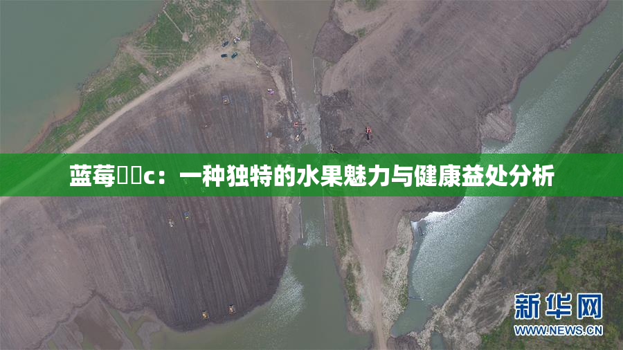 蓝莓❌‌c：一种独特的水果魅力与健康益处分析