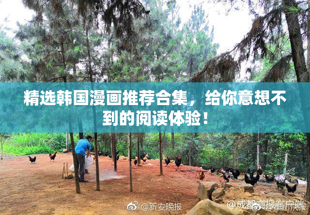 精选韩国漫画推荐合集，给你意想不到的阅读体验！