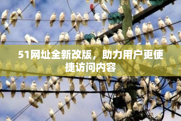 51网址全新改版，助力用户更便捷访问内容