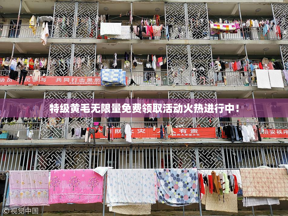 特级黄毛无限量免费领取活动火热进行中！