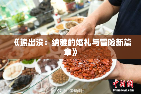 《熊出没：纳雅的婚礼与冒险新篇章》
