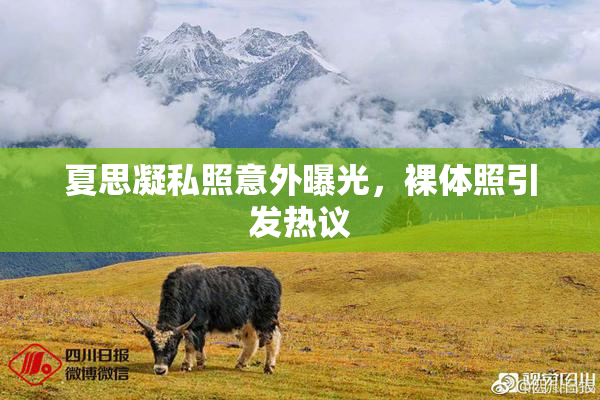 夏思凝私照意外曝光，裸体照引发热议