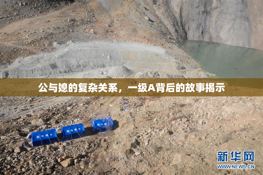 公与媳的复杂关系，一级A背后的故事揭示