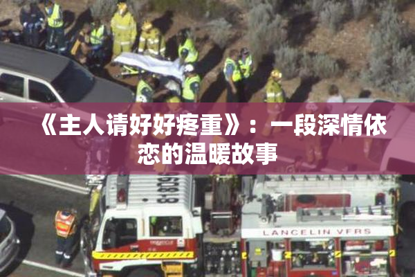 《主人请好好疼重》：一段深情依恋的温暖故事