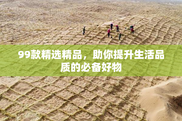 99款精选精品，助你提升生活品质的必备好物