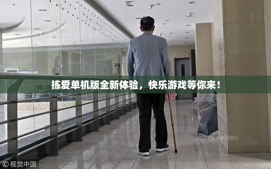 拣爱单机版全新体验，快乐游戏等你来！