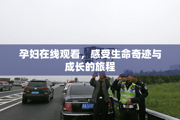 孕妇在线观看，感受生命奇迹与成长的旅程