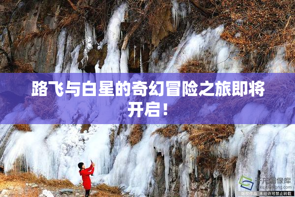 路飞与白星的奇幻冒险之旅即将开启！