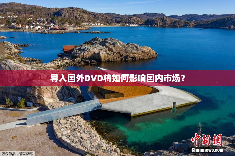 导入国外DVD将如何影响国内市场？