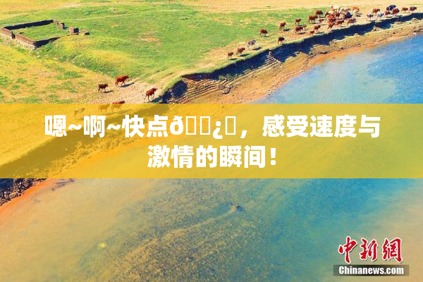 嗯~啊~快点🌿‌，感受速度与激情的瞬间！