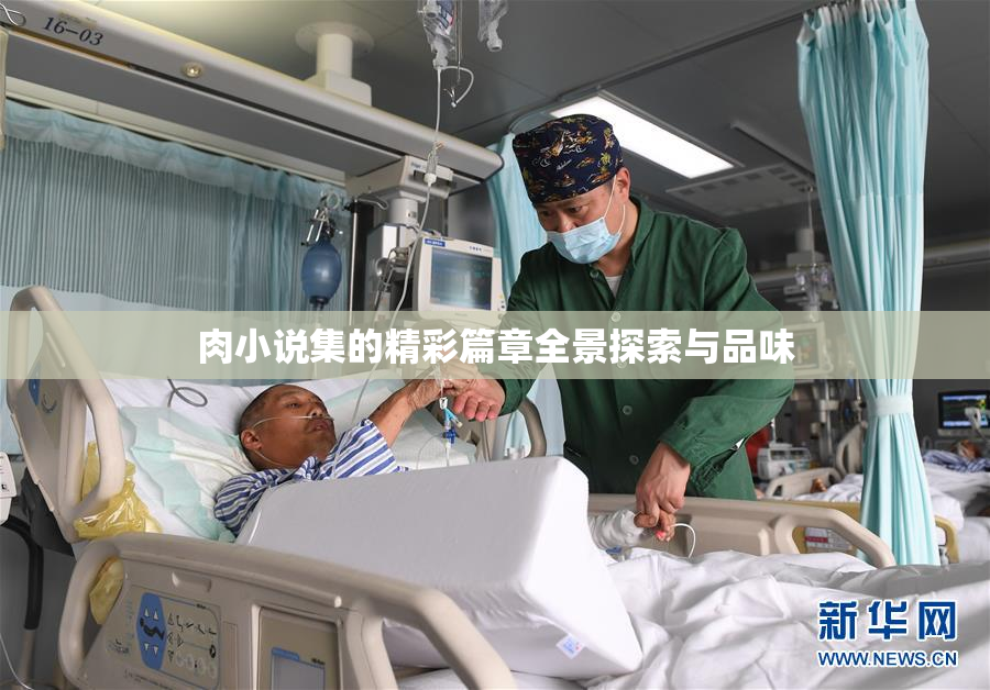 肉小说集的精彩篇章全景探索与品味