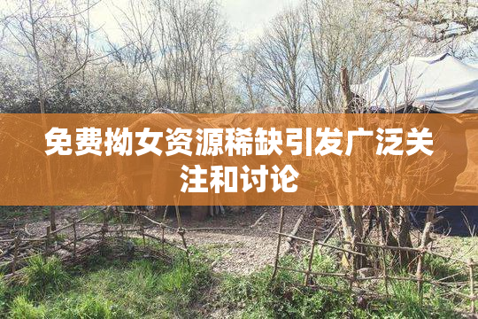 免费拗女资源稀缺引发广泛关注和讨论
