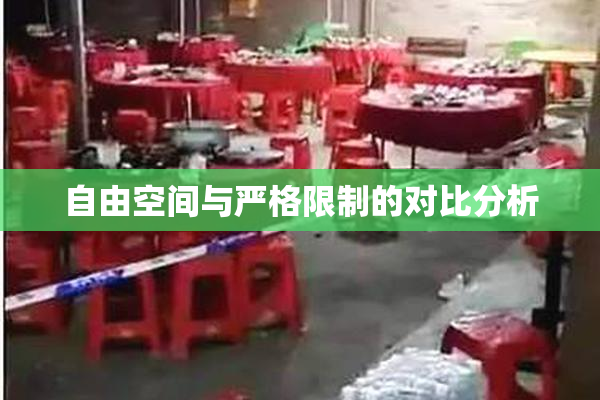 自由空间与严格限制的对比分析