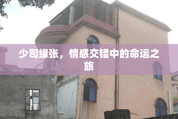 少司缘张，情感交错中的命运之旅