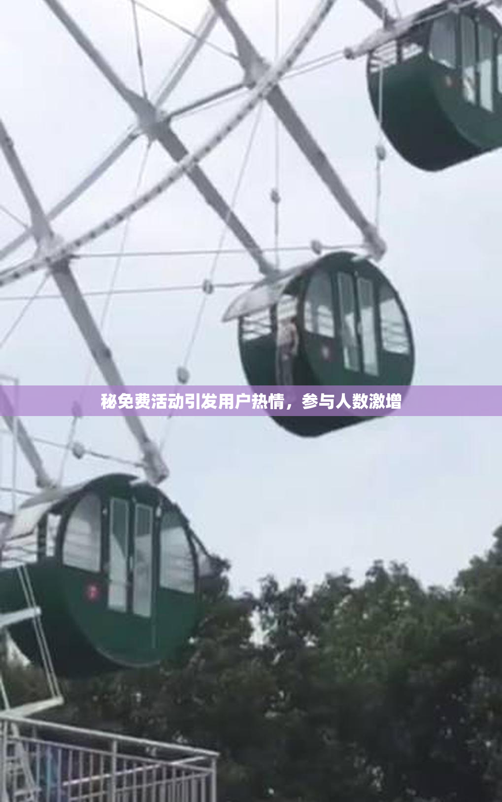 秘免费活动引发用户热情，参与人数激增