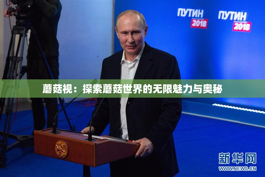 蘑菇视：探索蘑菇世界的无限魅力与奥秘