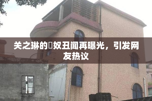 关之琳的婬奴丑闻再曝光，引发网友热议