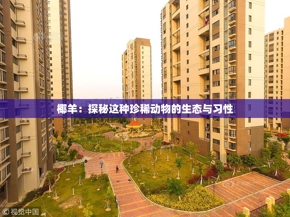 椰羊：探秘这种珍稀动物的生态与习性