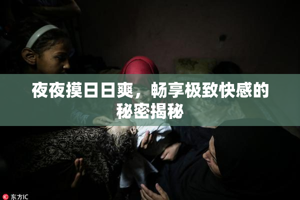 夜夜摸日日爽，畅享极致快感的秘密揭秘