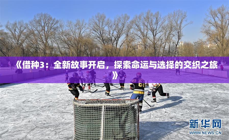 《借种3：全新故事开启，探索命运与选择的交织之旅》