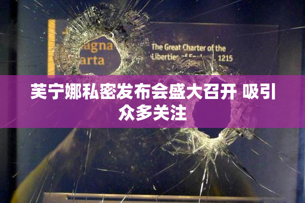 芙宁娜私密发布会盛大召开 吸引众多关注