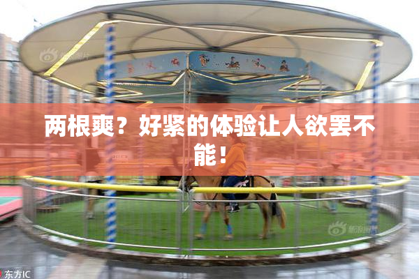 两根爽？好紧的体验让人欲罢不能！